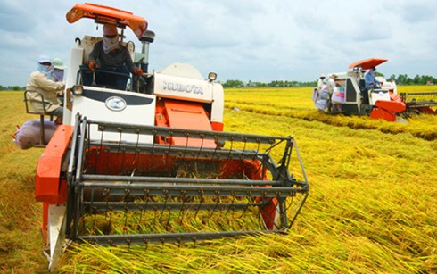 នាយករដ្ឋមន្ត្រីចេញសារាចរណ៍ជំរុញរៀបចំឡើងវិញរចនាសម្ព័ន្ធផ្នែកកសិកម្ម